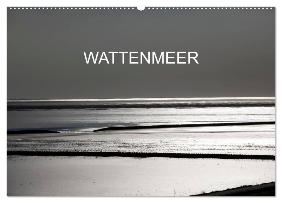 Wattenmeer (Wandkalender 2026 DIN A2 quer), CALVENDO Monatskalender - Thomas Jäger