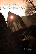 Cover-Bild zum Titel 'Dark Poetry, Volume 3: Views From A Gothic Window' von 'J J Ginty'
