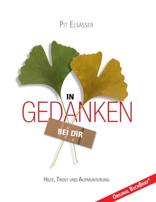 In Gedanken bei dir - Pit Elsasser