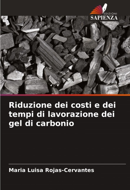 Riduzione dei costi e dei tempi di lavorazione dei gel di carbonio - Maria Luisa Rojas-Cervantes