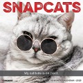Snapcats 2025 12 X 12 Wall Calendar - Willow Creek Press