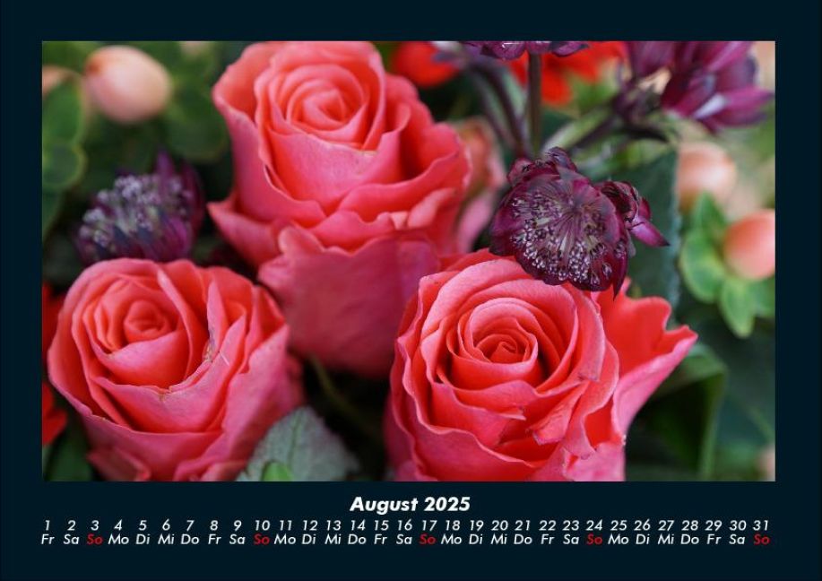 InsideView 12
