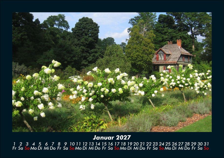InsideView 5