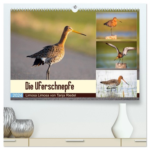 Die Uferschnepfe Limosa limosa (hochwertiger Premium Wandkalender 2024 DIN A2 quer), Kunstdruck in Hochglanz - Tanja Riedel