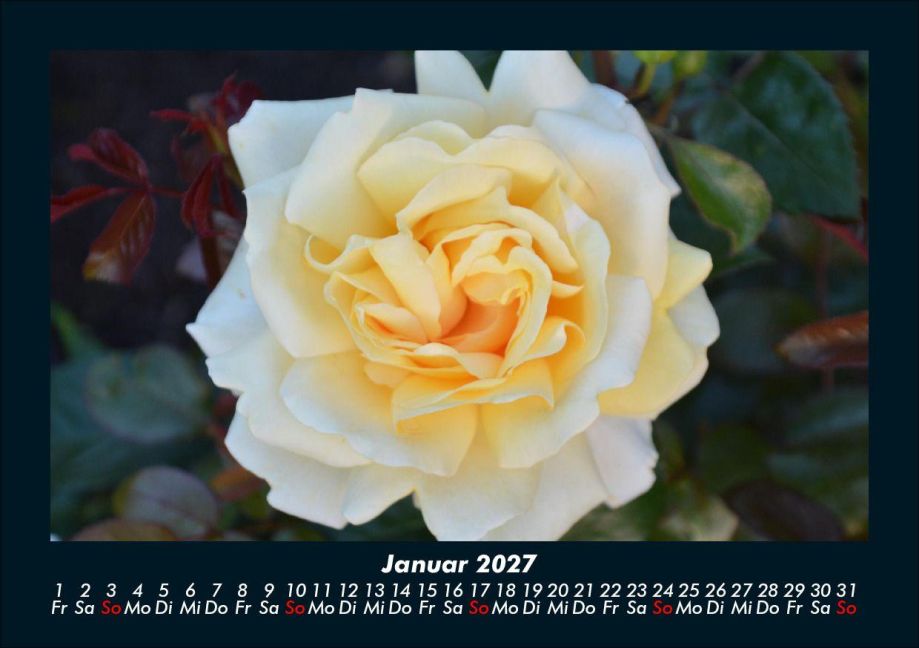 InsideView 5