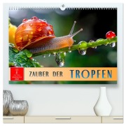 Cover-Bild zum Titel 'Zauber der Tropfen (hochwertiger Premium Wandkalender 2026 DIN A2 quer), Kunstdruck in Hochglanz' von 'Peter Roder'
