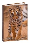 Cover-Bild zum Titel 'Schülerkalender Forum Tiere Tiger 2026 / 2027' von ''