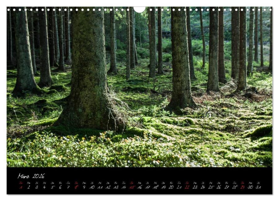 InsideView 8
