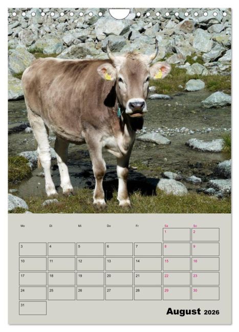 InsideView 13