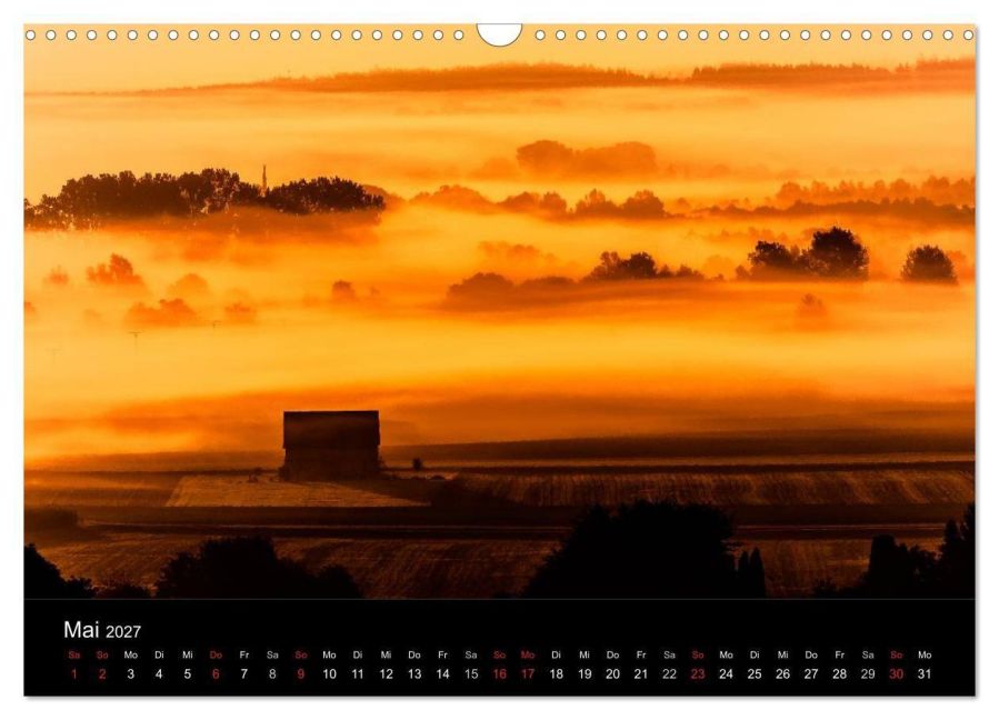 InsideView 10