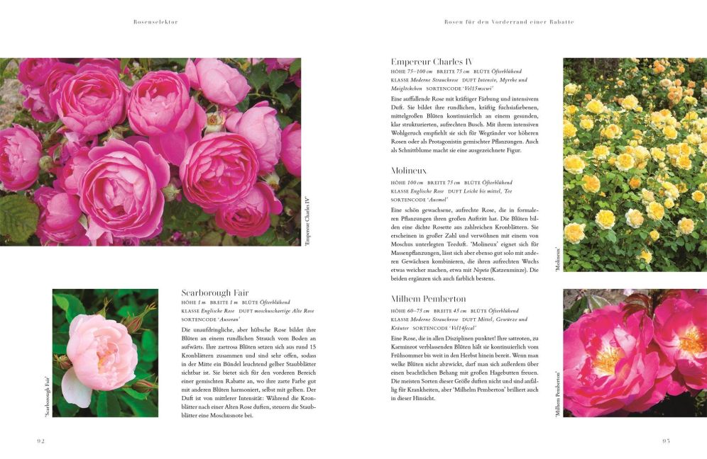 InsideView 6