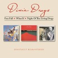 Free Fall/What If/Night Of The Living Dregs - Dixie Dregs