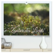 Cover-Bild zum Titel 'Zauber des Lichts (hochwertiger Premium Wandkalender 2026 DIN A2 quer), Kunstdruck in Hochglanz' von 'Christine Wirges'