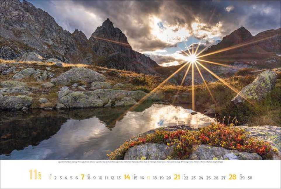 InsideView 11