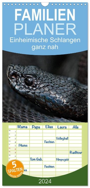 Familienplaner 2024 - Einheimische Schlangen ganz nah mit 5 Spalten (Wandkalender, 21 x 45 cm) CALVENDO - Stefan Dummermuth