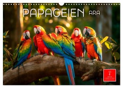 Cover-Bild zum Titel 'Papageien - Ara (Wandkalender 2026 DIN A3 quer), CALVENDO Monatskalender' von 'Peter Roder'