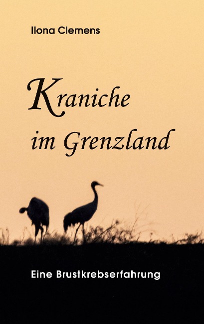 Kraniche im Grenzland - Ilona Clemens