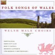 Folk Songs Of Wales - Various