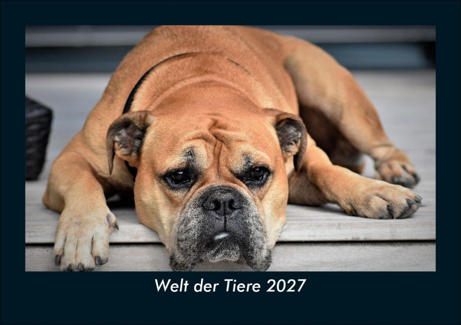 Welt der Tiere 2027 Fotokalender DIN A5 - Tobias Schmitt, Kevin Heber