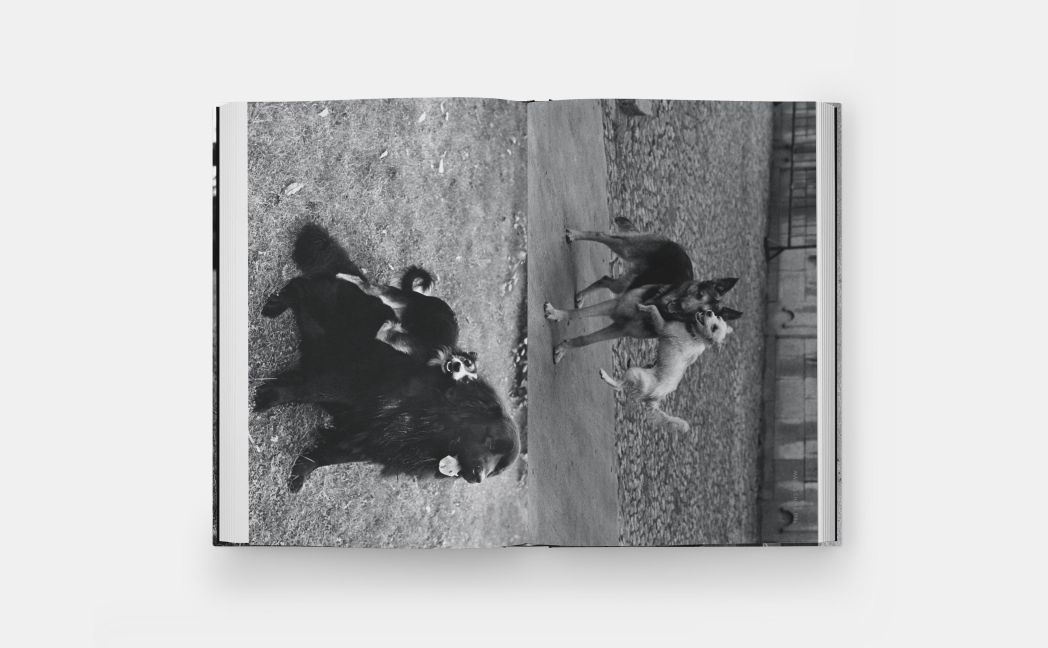 InsideView 6
