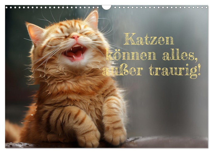 Katzen können alles, außer traurig. (Wandkalender 2026 DIN A3 quer), CALVENDO Monatskalender - Ki Rolf Skrypzak