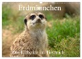 Erdmännchen - Die Kobolde im Tierreich (Wandkalender 2025 DIN A3 quer), CALVENDO Monatskalender - Arno Klatt