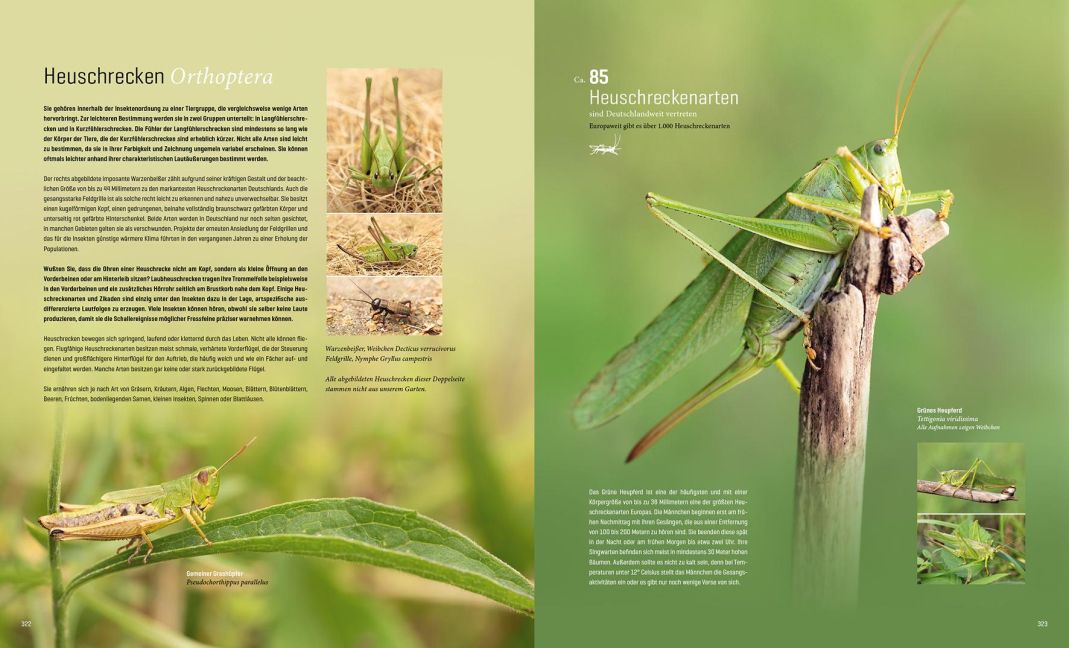 InsideView 17