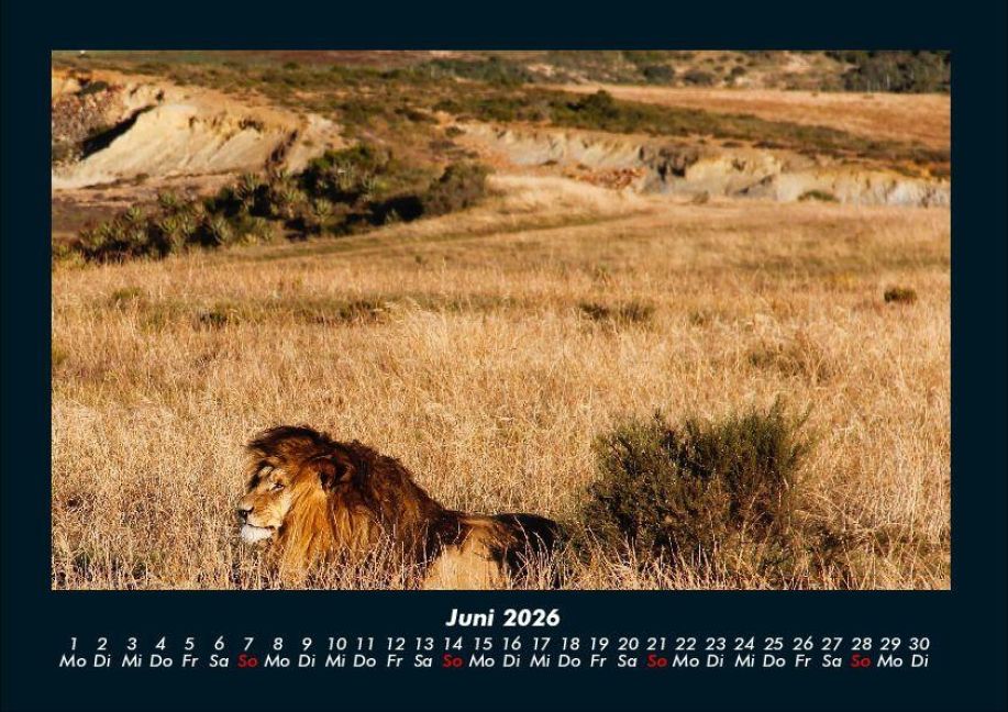 InsideView 10