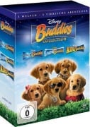 Cover-Bild zum Titel 'Buddies Collection' von 'Kevin DiCicco, Robert Vince, Anna McRoberts, Phil Hanley, Paul Tamasy'