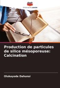 Cover-Bild zum Titel 'Production de particules de silice mésoporeuse: Calcination' von 'Olukayode Dahunsi'