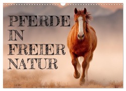 Cover-Bild zum Titel 'Pferde in freier Natur (Wandkalender 2026 DIN A3 quer), CALVENDO Monatskalender' von 'Mb Fotografie'