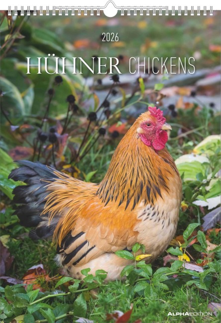 Hühner Kalender im Format 29,7 x 42 - 