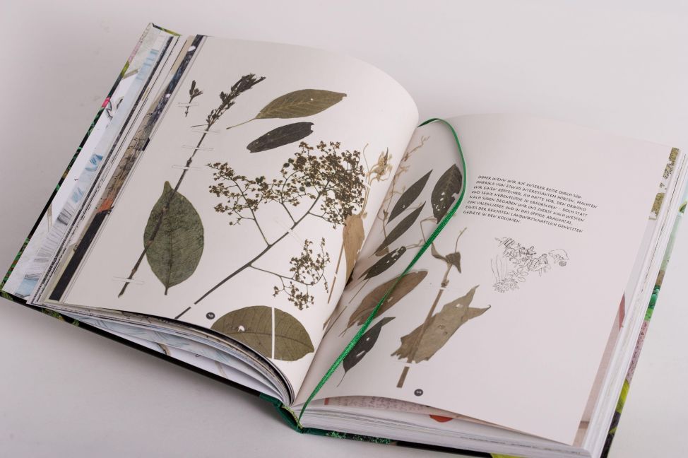 InsideView 14