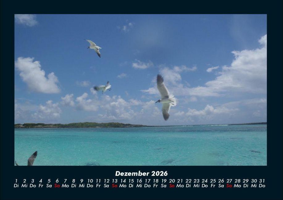 InsideView 4