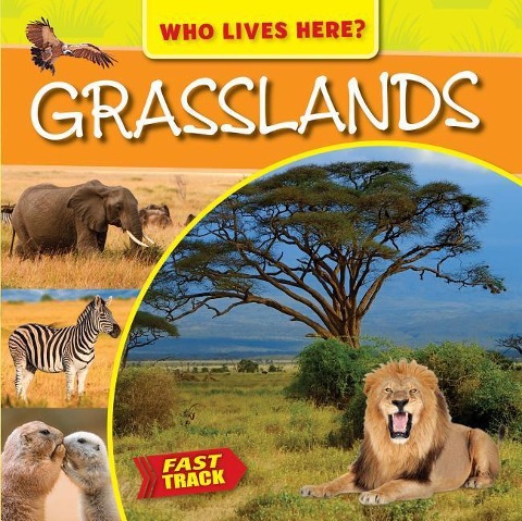 Grasslands - Mary-Jane Wilkins