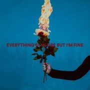 Cover-Bild zum Titel 'Everything's On Fire But I'm Fine' von 'As December Falls'