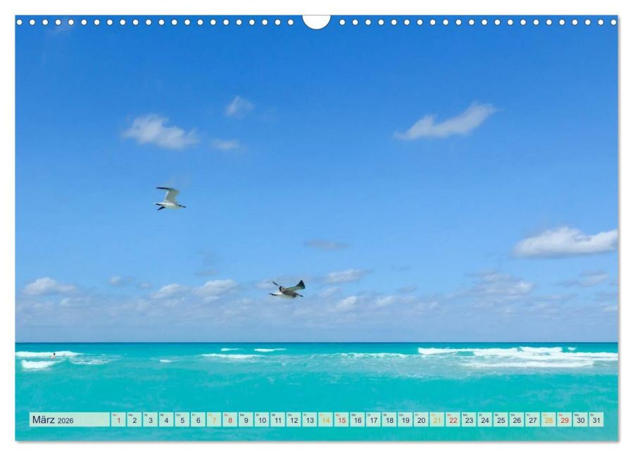 InsideView 8