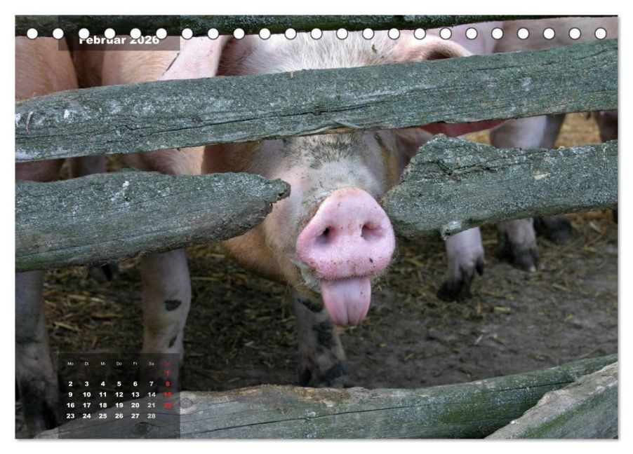 InsideView 7