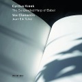 Cover-Bild zum Titel 'Suspended Harp of Babel,The' von 'Jaan-Eik Vox Clamantis/Tulve'