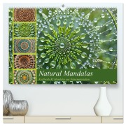 Cover-Bild zum Titel 'Natural Mandalas - Kraftvolle KI Mandalas aus Naturmaterialien (hochwertiger Premium Wandkalender 2026 DIN A2 quer), Kunstdruck in Hochglanz' von 'Fred Schimak'
