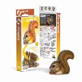 EUGY - 3D Bastelset Eichhörnchen - 