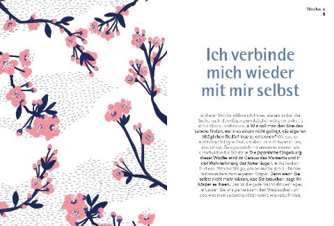 InsideView 4