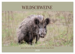 Cover-Bild zum Titel 'Wildschweine ganz nah an der Sau (Sus scrofa) von Tanja Riedel (Wandkalender 2026 DIN A3 quer), CALVENDO Monatskalender' von 'Tanja Riedel'