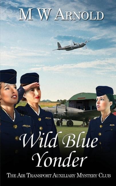 Wild Blue Yonder - M. W. Arnold