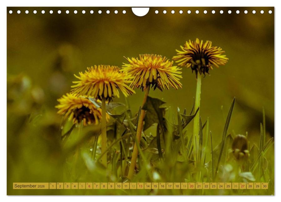InsideView 14
