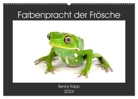 Farbenpracht der Frösche (Wandkalender 2024 DIN A2 quer), CALVENDO Monatskalender - Benny Trapp