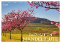 FASZINATION MANDELBLÜTE (Wandkalender 2024 DIN A3 quer), CALVENDO Monatskalender - Sulamay Fillinger