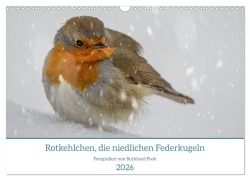 Cover-Bild zum Titel 'Rotkehlchen, die niedlichen Federkugeln (Wandkalender 2026 DIN A3 quer), CALVENDO Monatskalender' von 'Burkhard Pook /pnmedia'