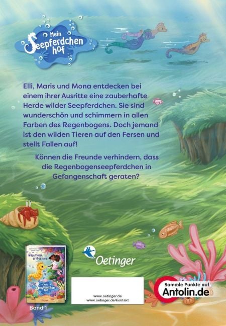 InsideView 4