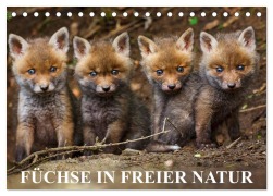 Füchse in freier Natur (Tischkalender 2026 DIN A5 quer), CALVENDO Monatskalender - Ulrich Hopp